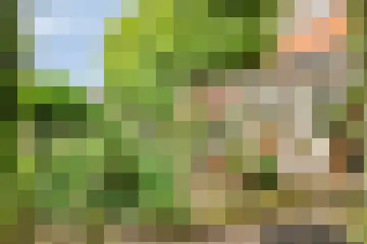 Perron 18 Gennep thumbnail 26