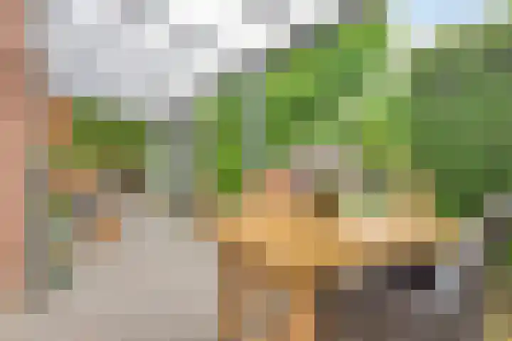 Perron 18 Gennep thumbnail 27