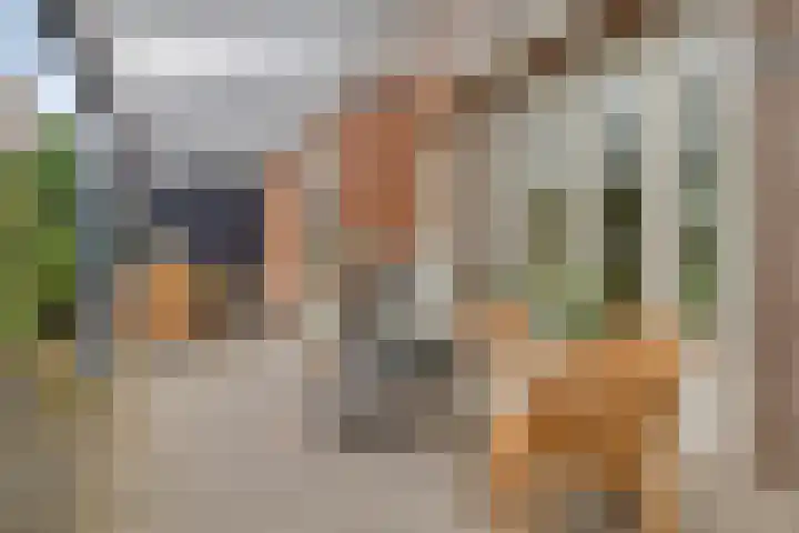 Perron 18 Gennep thumbnail 28