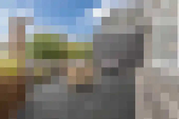 Perronstraat 12 Alkmaar thumbnail 23