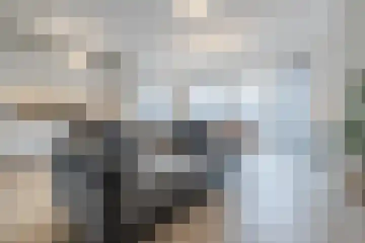 Perronstraat 12 Alkmaar thumbnail 6