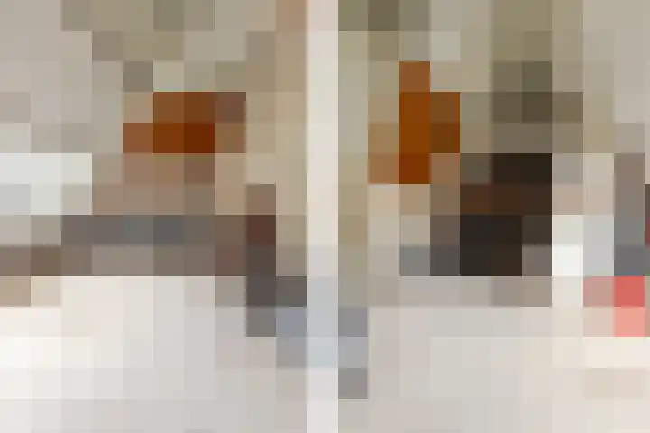 Perseusstraat 11 Haarlem thumbnail 18
