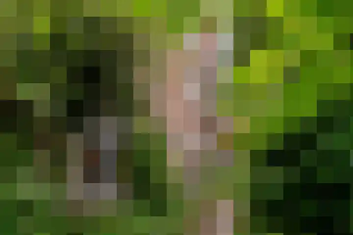 Perseusstraat 11 Haarlem thumbnail 22