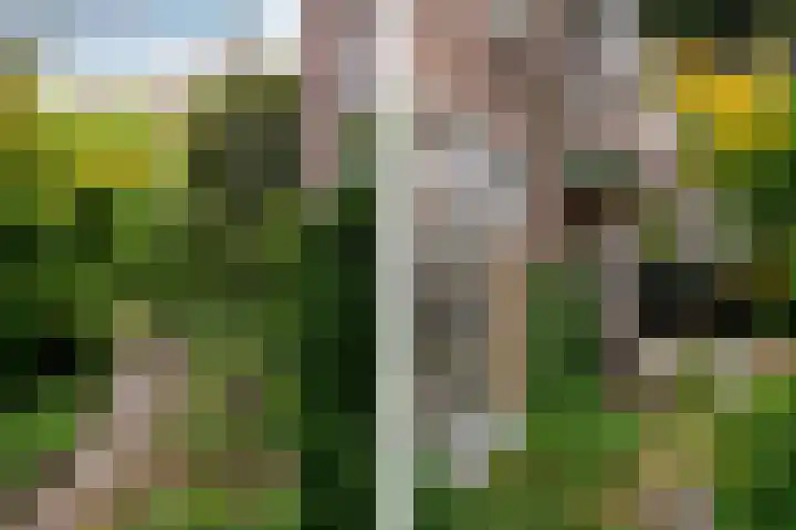 Perseusstraat 11 Haarlem thumbnail 23