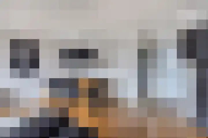 Persijnlaan 36 Purmerend thumbnail 13