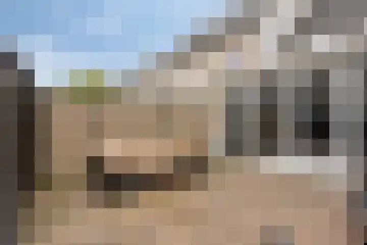 Persijnlaan 36 Purmerend thumbnail 22