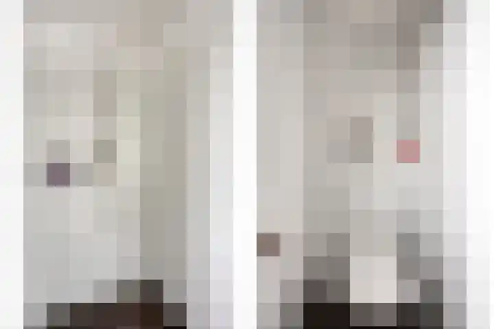 Persijnlaan 36 Purmerend thumbnail 31