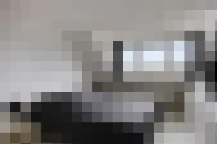Persijnlaan 36 Purmerend thumbnail 36