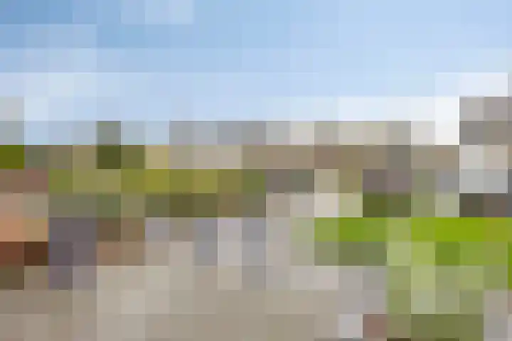 Persijnlaan 36 Purmerend thumbnail 7
