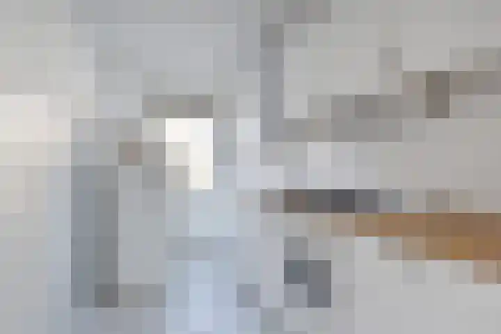 Persijnlaan 55 Delft thumbnail 13