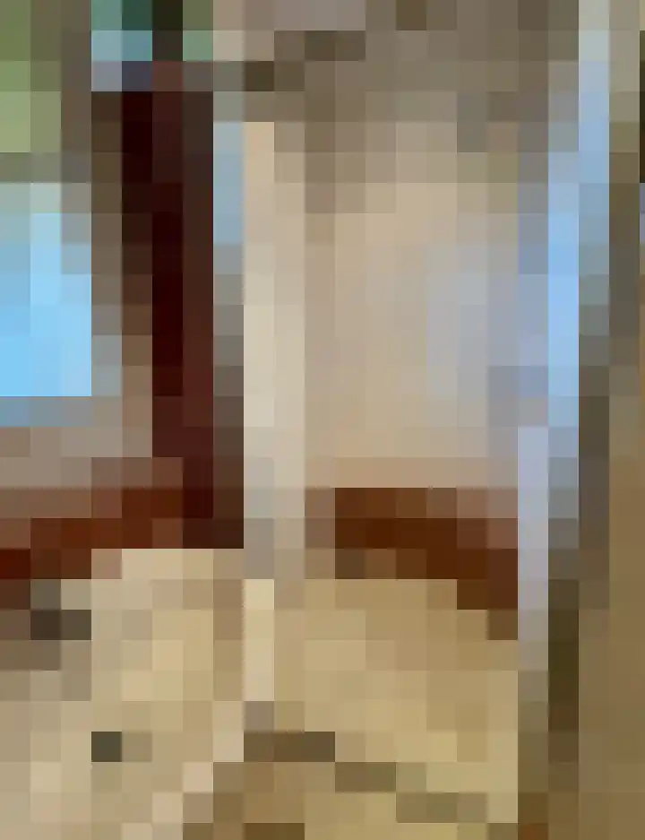 Persijnlaan 66 Delft thumbnail 18