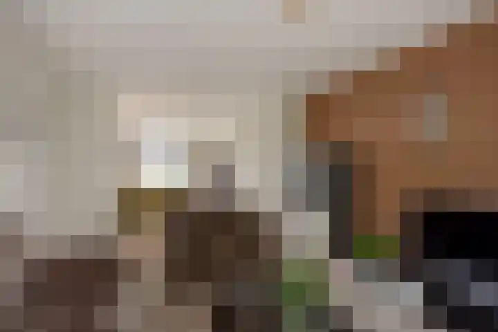 Persijnlaan 80 Delft thumbnail 12
