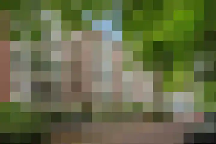 Persijnlaan 80 Delft thumbnail 35
