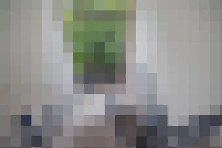 Persijnlaan 80 Delft thumbnail 7