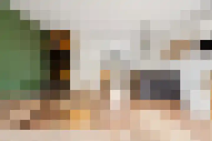 Perspectief 18 Zeewolde thumbnail 13