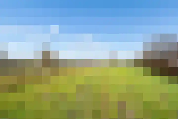 Perspectief 18 Zeewolde thumbnail 35
