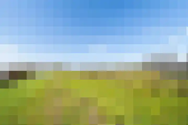 Perspectief 18 Zeewolde thumbnail 36