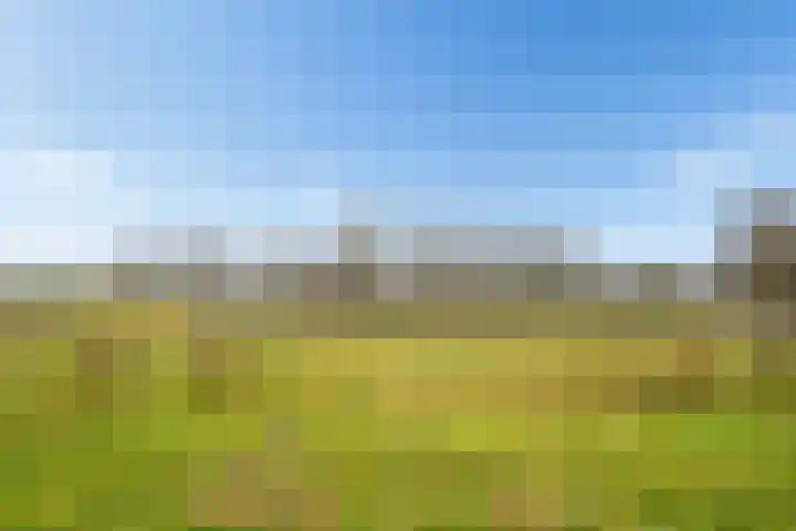 Perspectief 18 Zeewolde thumbnail 37