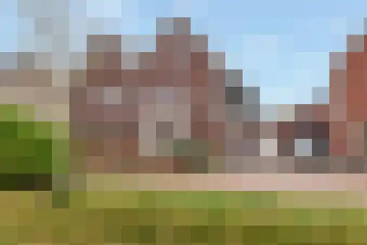 Perzik 20 in Nijkerk