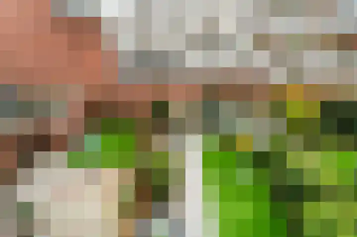 Perziklaan 14 Den Haag thumbnail 19