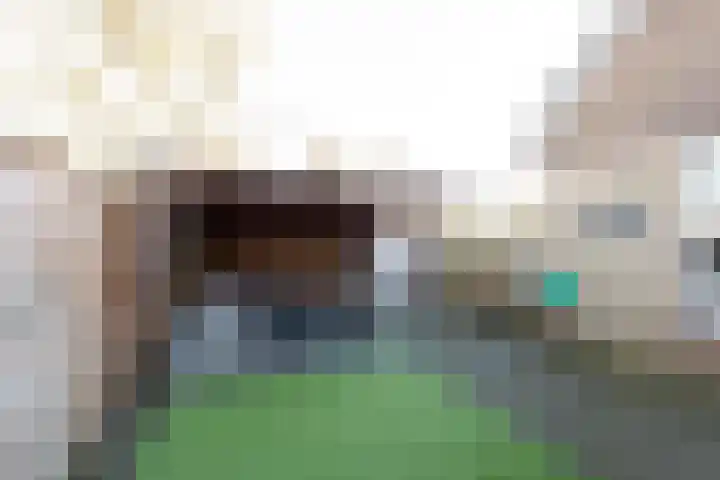 Perziklaan 2 Bilthoven thumbnail 15
