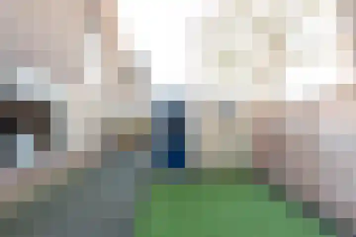 Perziklaan 2 Bilthoven thumbnail 19
