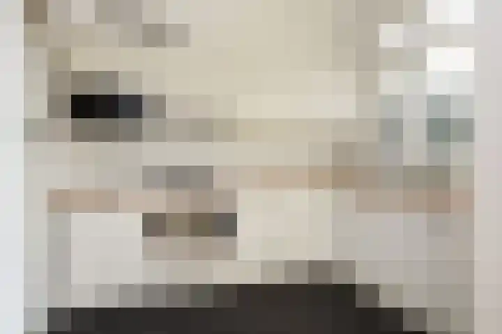 Perziklaan 76 Den Haag thumbnail 18