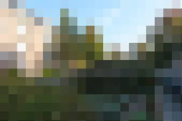 Perziklaan 76 Den Haag thumbnail 47