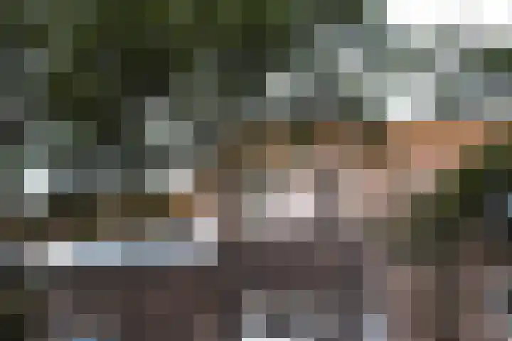Perziklaan 76 Den Haag thumbnail 7
