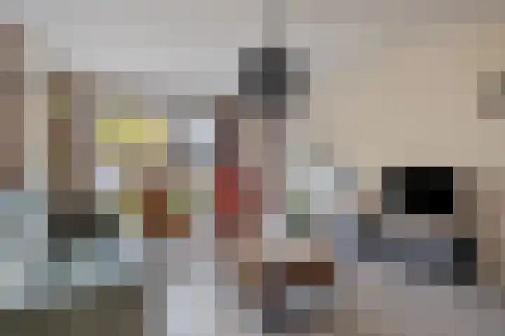 Peseta 14 Dronten thumbnail 10