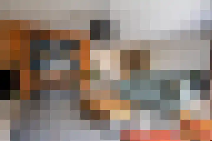 Peseta 14 Dronten thumbnail 11