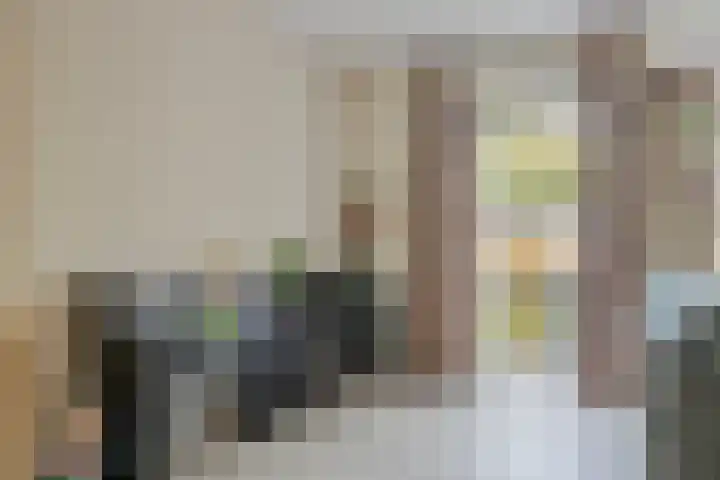 Peseta 14 Dronten thumbnail 12