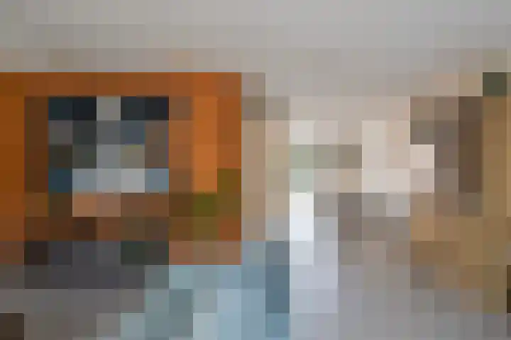 Peseta 14 Dronten thumbnail 13