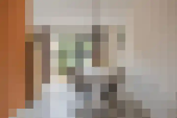 Peseta 14 Dronten thumbnail 14