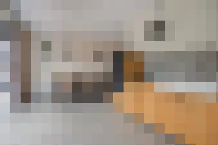 Peseta 14 Dronten thumbnail 17