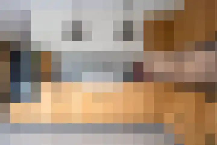 Peseta 14 Dronten thumbnail 18