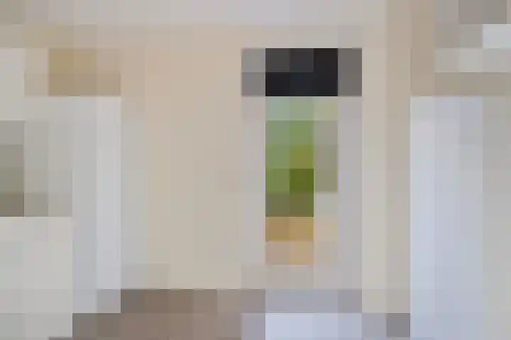 Peseta 14 Dronten thumbnail 21