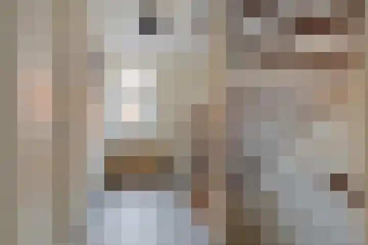 Peseta 14 Dronten thumbnail 22