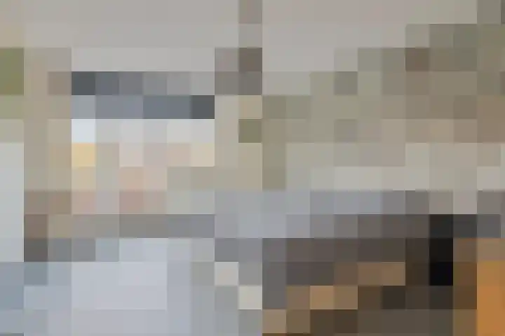 Peseta 14 Dronten thumbnail 23