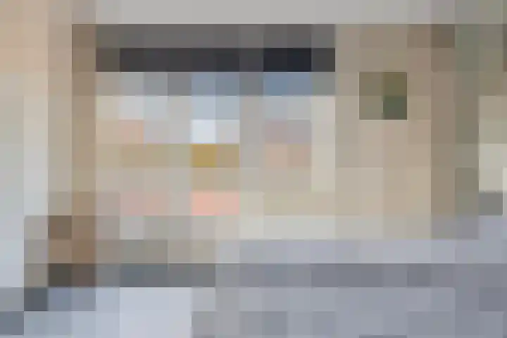 Peseta 14 Dronten thumbnail 24