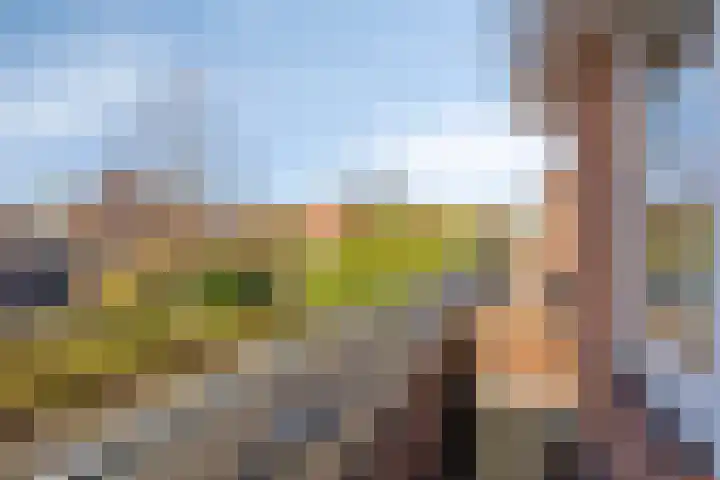 Peseta 14 Dronten thumbnail 25