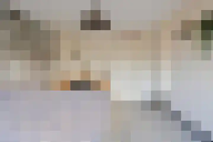 Peseta 14 Dronten thumbnail 26