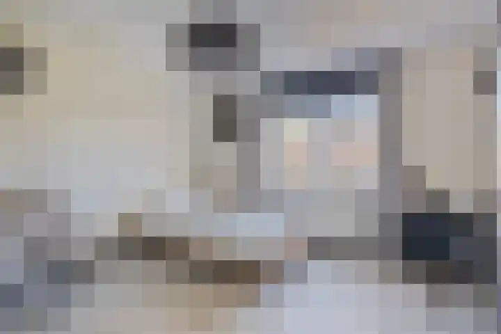 Peseta 14 Dronten thumbnail 27