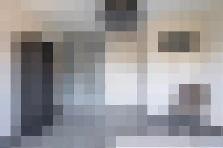 Peseta 14 Dronten thumbnail 28