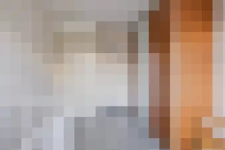 Peseta 14 Dronten thumbnail 30