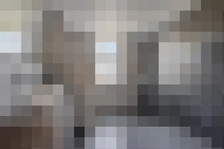 Peseta 14 Dronten thumbnail 31