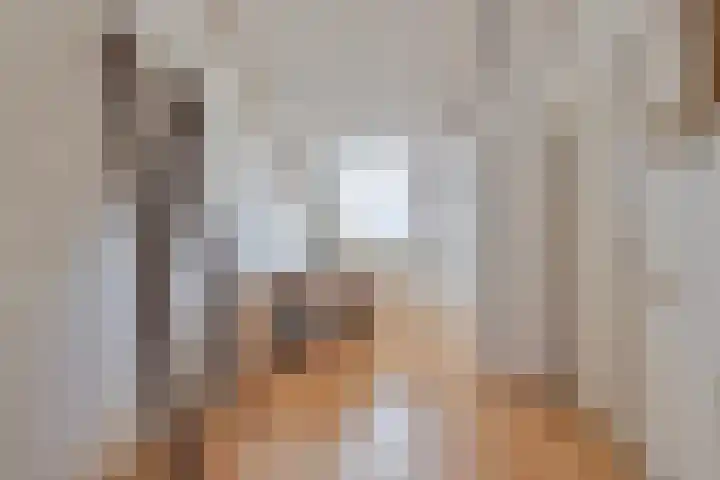 Peseta 14 Dronten thumbnail 36