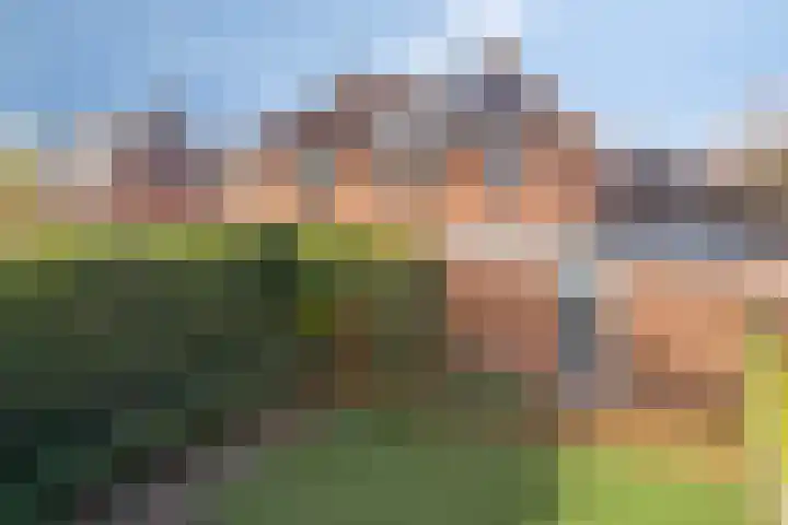 Peseta 14 Dronten thumbnail 38