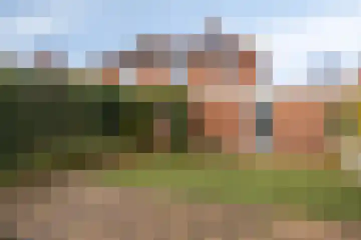 Peseta 14 Dronten thumbnail 39