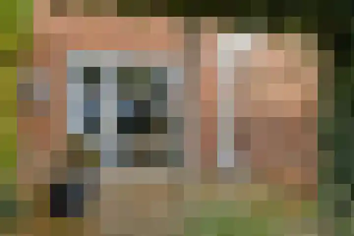 Peseta 14 Dronten thumbnail 40